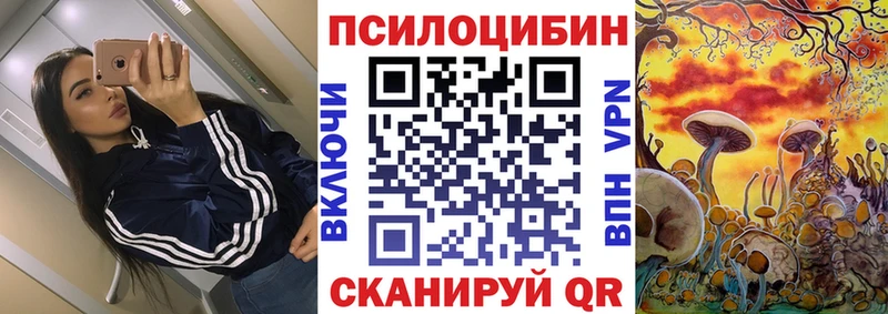 закладки  Грозный  Псилоцибиновые грибы GOLDEN TEACHER 