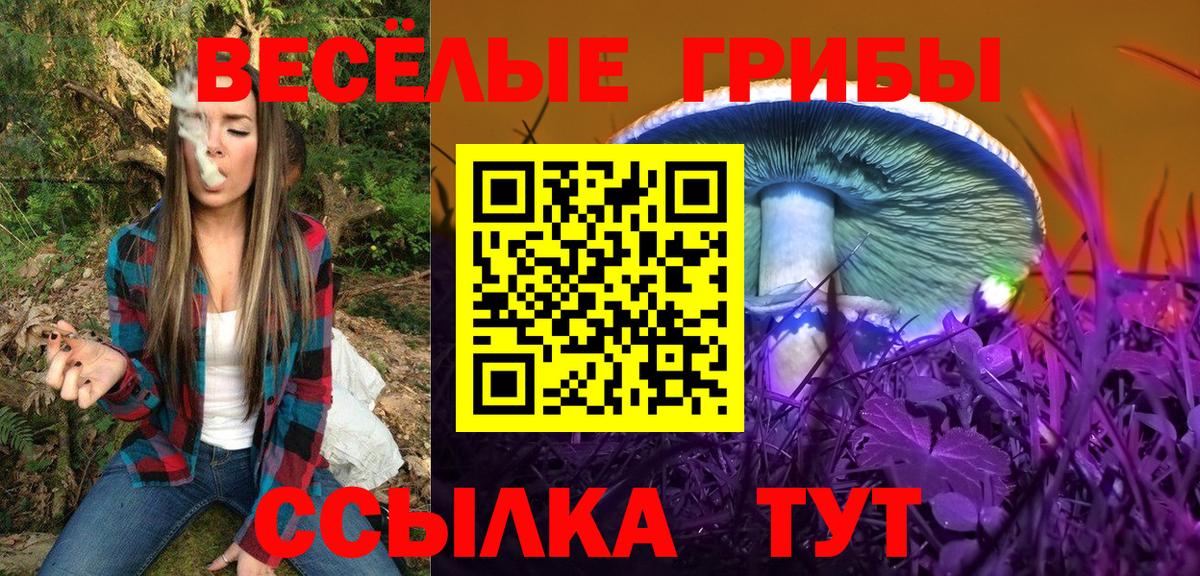 Псилоцибиновые грибы мицелий Грозный