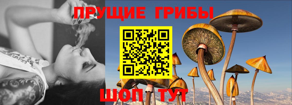 Псилоцибиновые грибы Psilocybe  Вход с VPN  Грозный  Галлюциногенные грибы мухоморы 